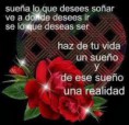 /album/fotogaleria/images-26-jpg/